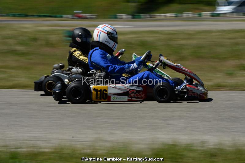 DSC_8151.jpg