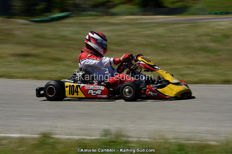 DSC_8155.jpg