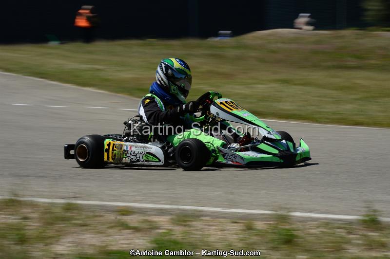 DSC_8181.jpg