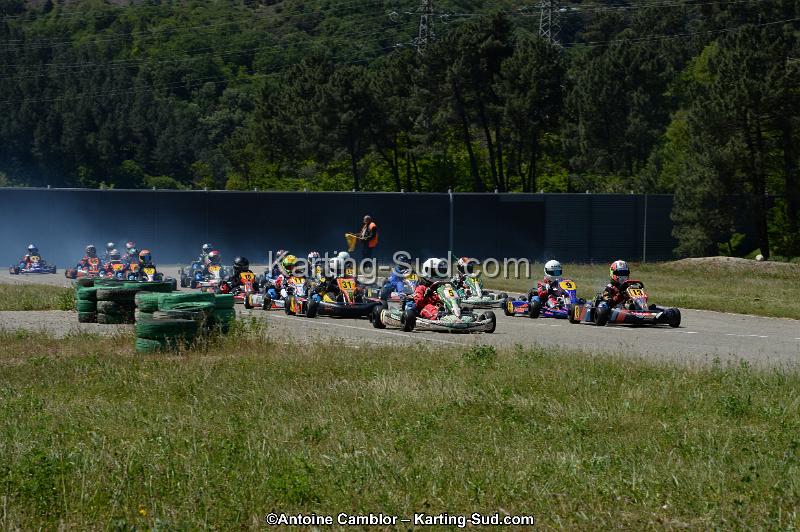DSC_8186.jpg