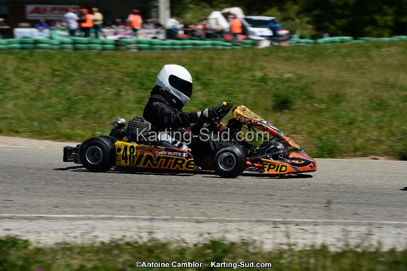 DSC_8211.jpg