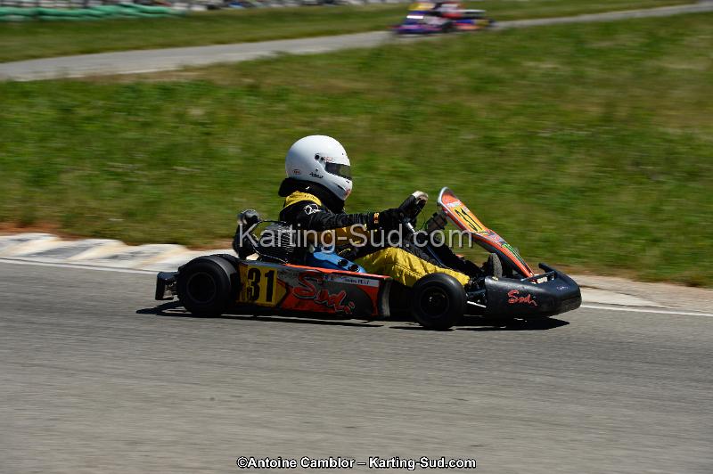 DSC_8219.jpg