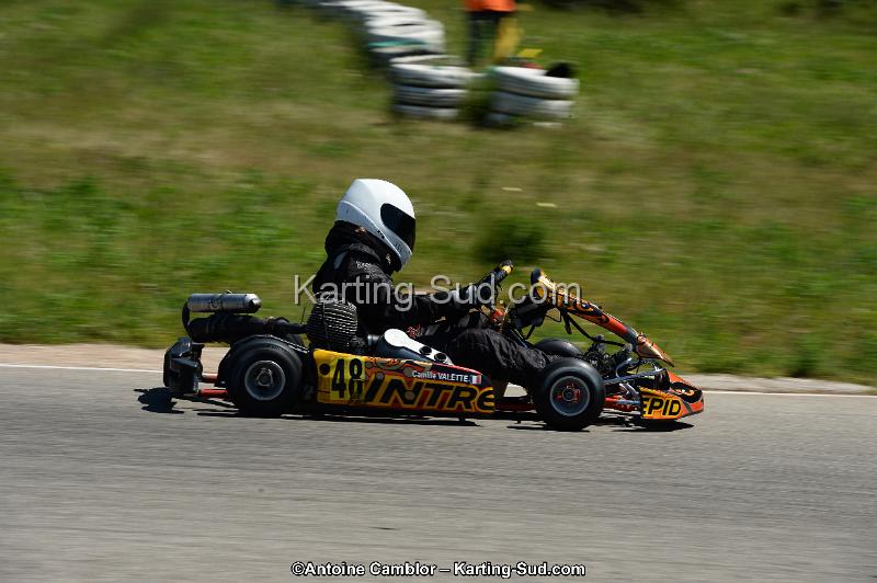 DSC_8222.jpg