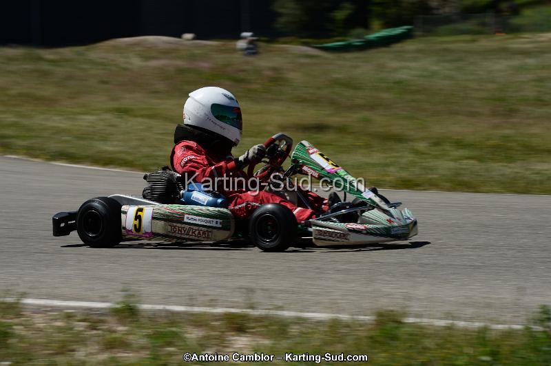 DSC_8226.jpg