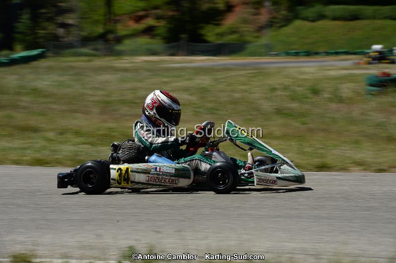 DSC_8229.jpg