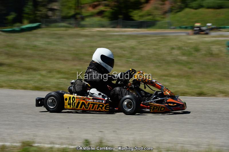DSC_8230.jpg