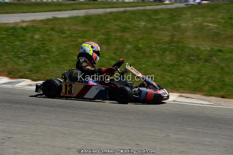 DSC_8233.jpg