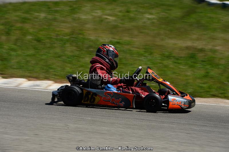 DSC_8237.jpg