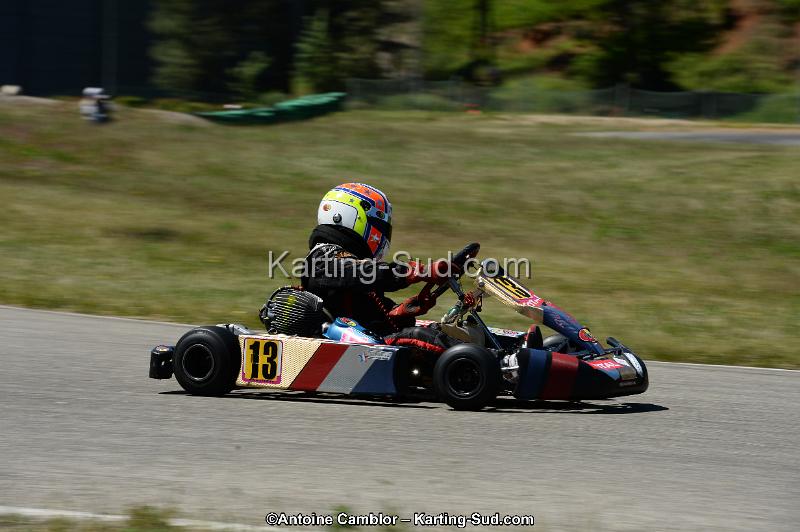 DSC_8241.jpg