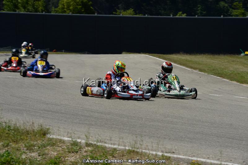 DSC_8242.jpg