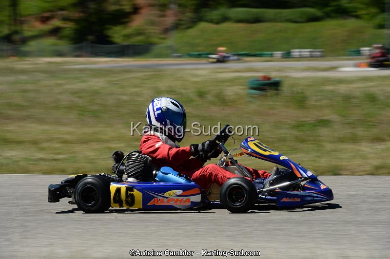 DSC_8248.jpg