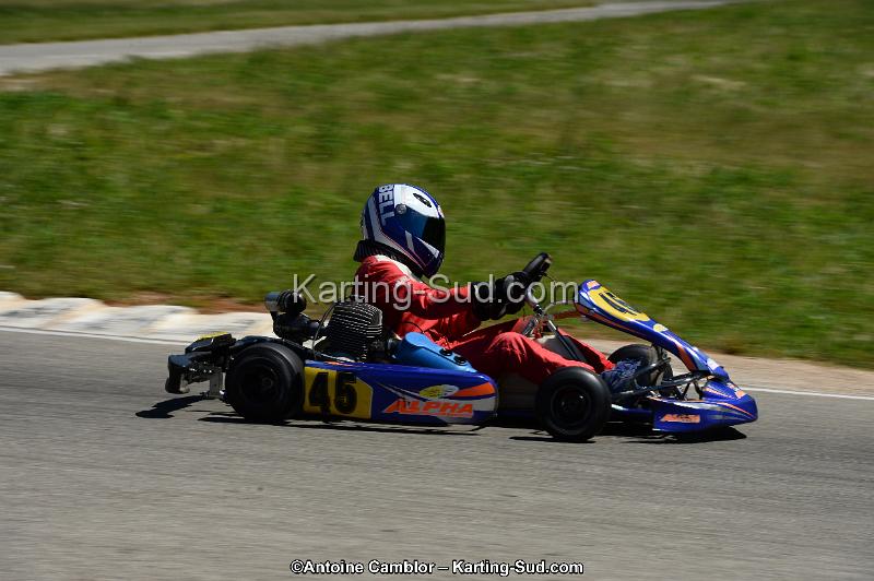DSC_8250.jpg