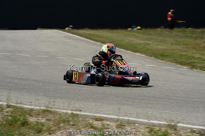 DSC_8252.jpg