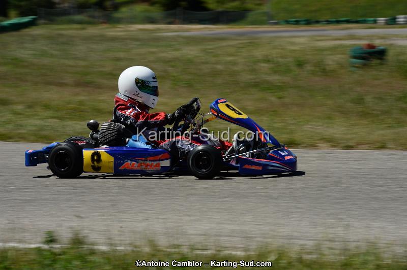 DSC_8253.jpg