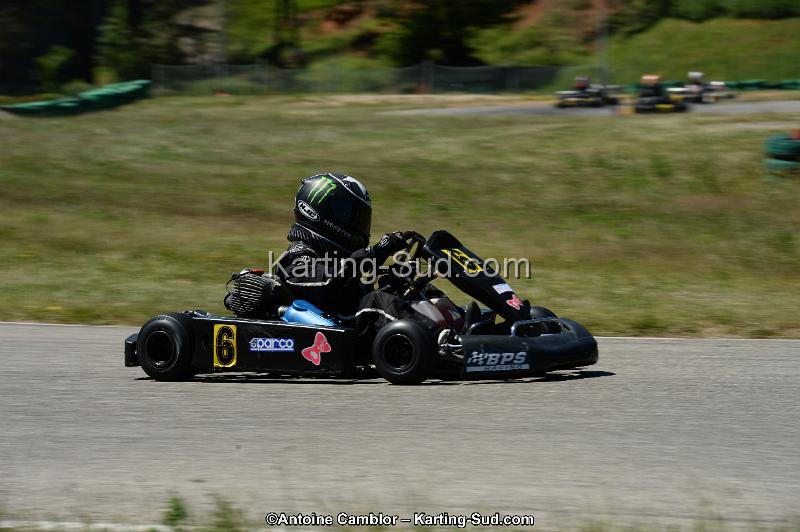 DSC_8259.jpg