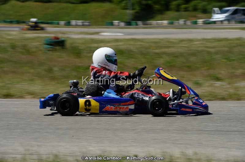 DSC_8261.jpg