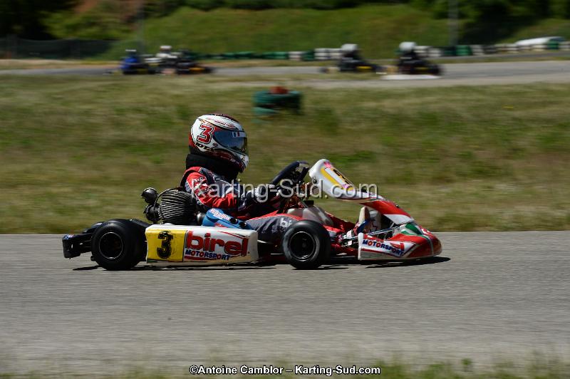 DSC_8264.jpg