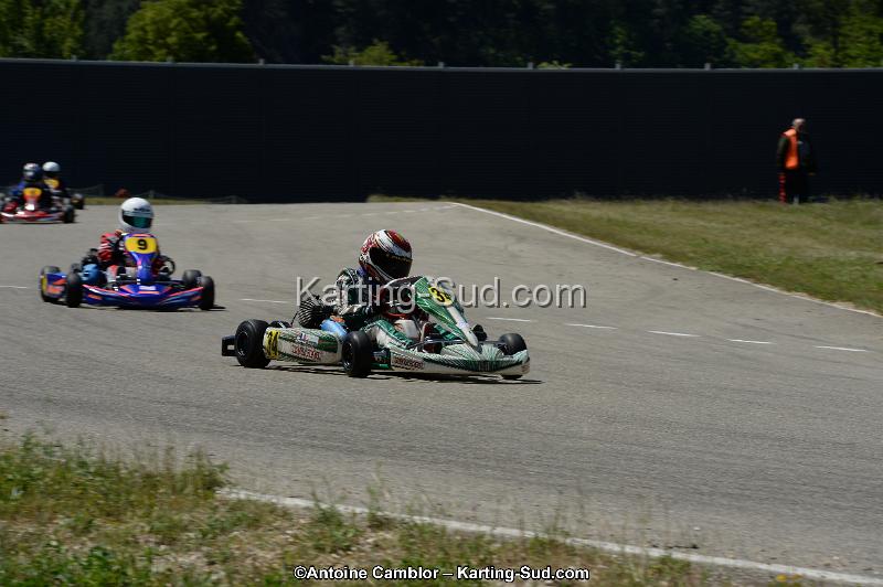 DSC_8274.jpg