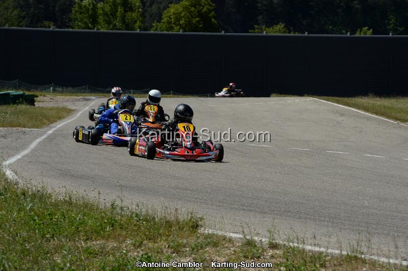 DSC_8275.jpg