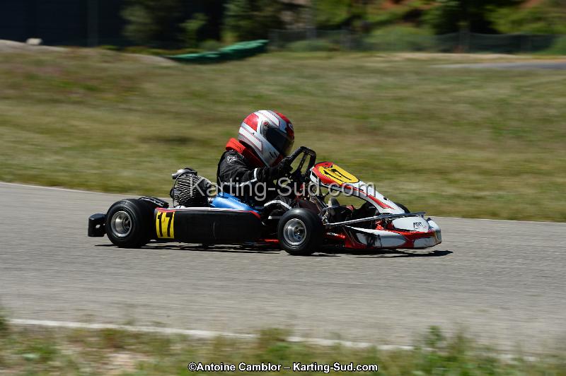 DSC_8277.jpg