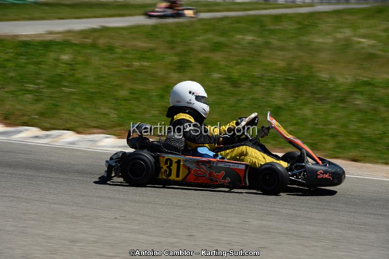 DSC_8278.jpg