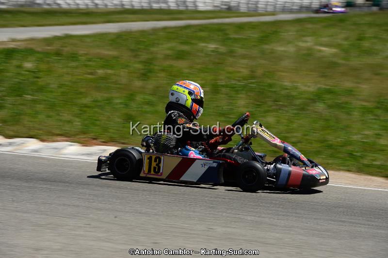 DSC_8279.jpg