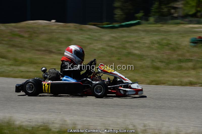 DSC_8284.jpg
