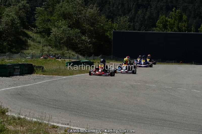 DSC_8285.jpg