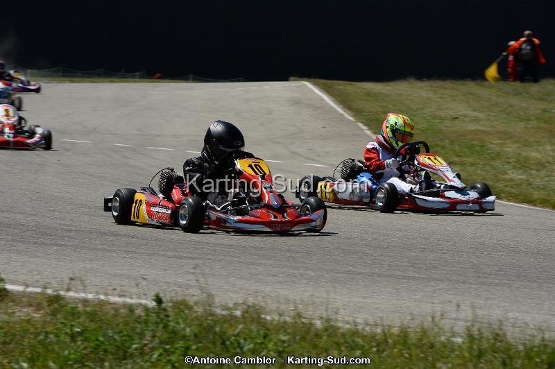 DSC_8286.jpg