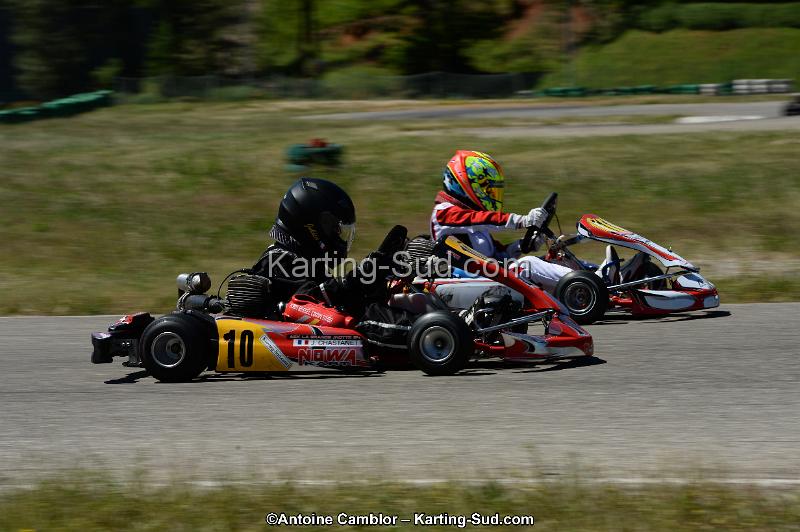 DSC_8287.jpg