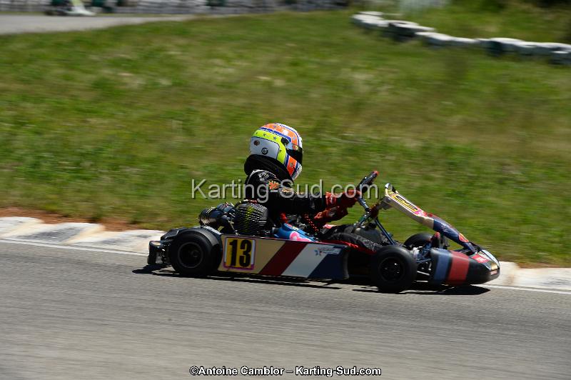 DSC_8291.jpg