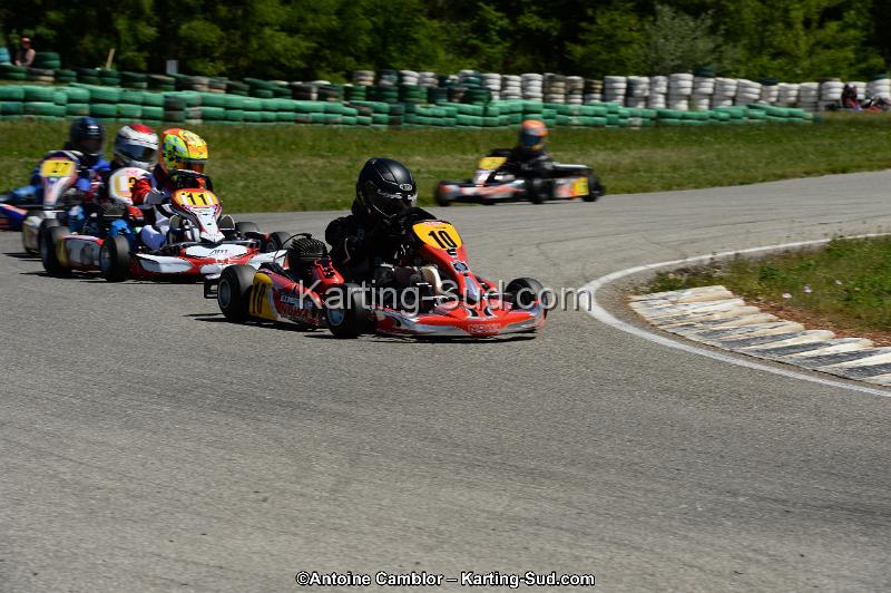 DSC_8294.jpg
