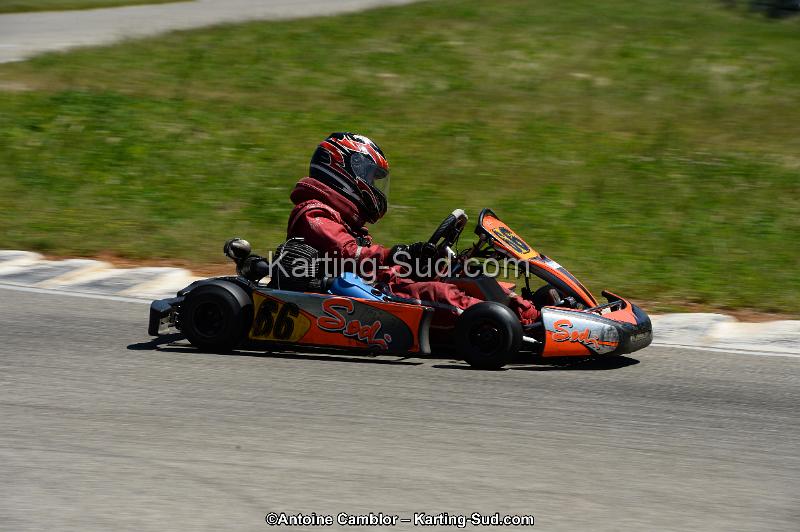 DSC_8305.jpg