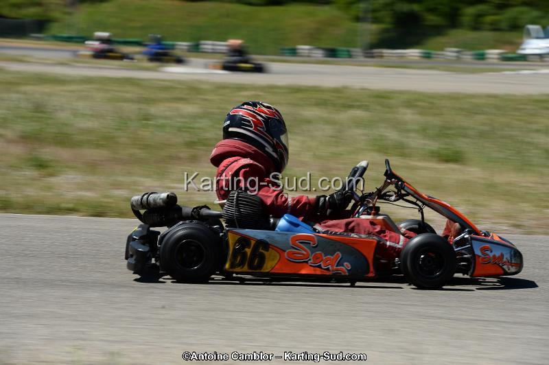DSC_8311.jpg