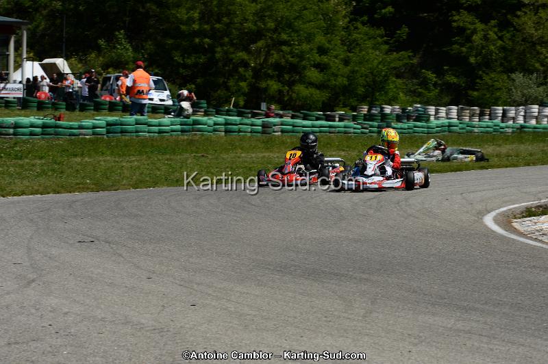 DSC_8313.jpg