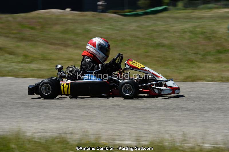 DSC_8317.jpg