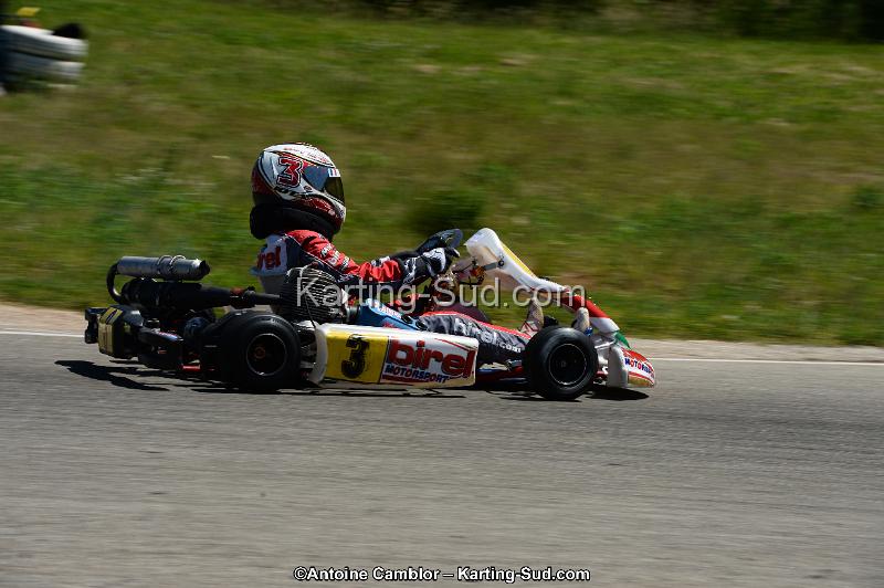 DSC_8321.jpg
