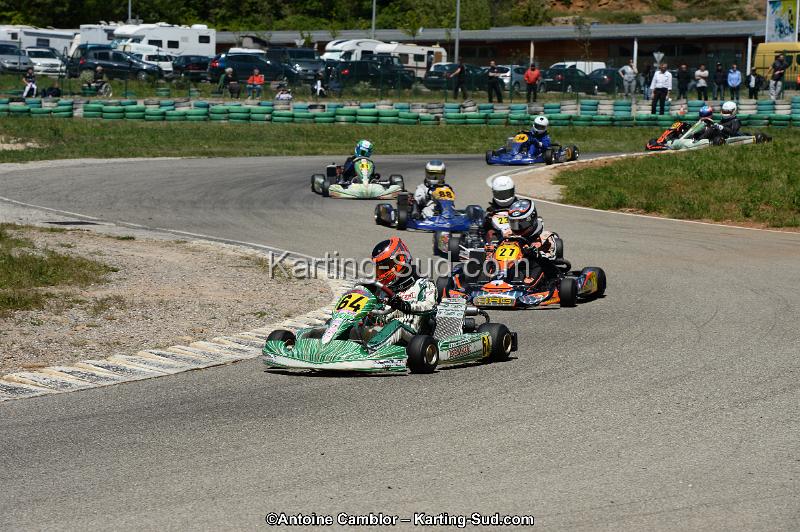 DSC_8325.jpg