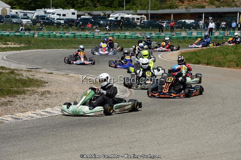 DSC_8327.jpg