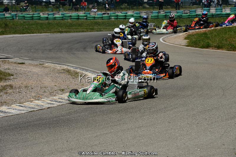 DSC_8330.jpg