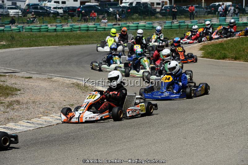 DSC_8331.jpg