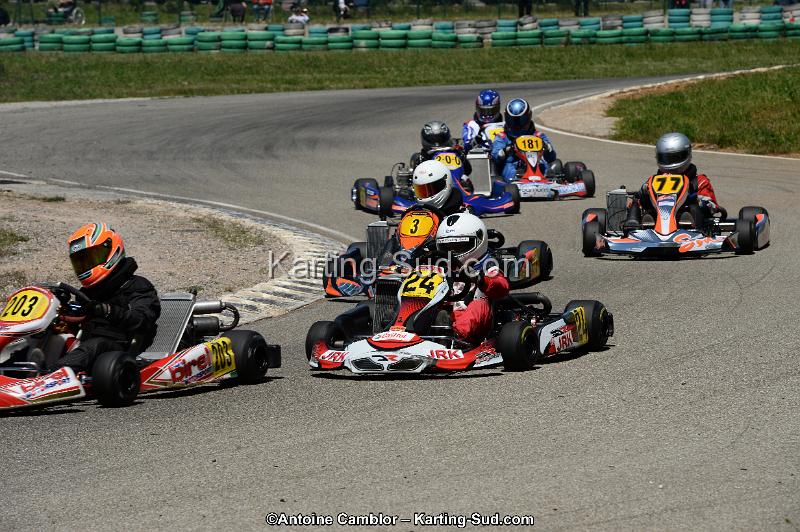 DSC_8333.jpg