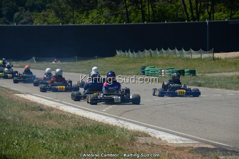 DSC_8335.jpg