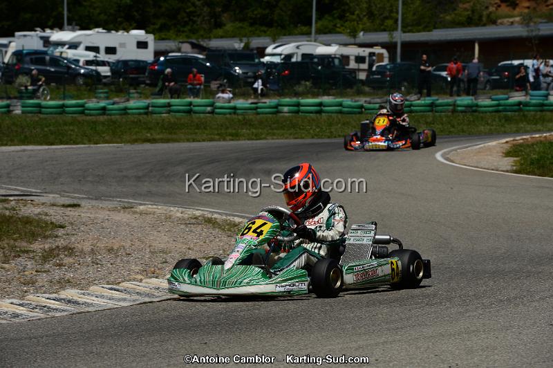 DSC_8336.jpg