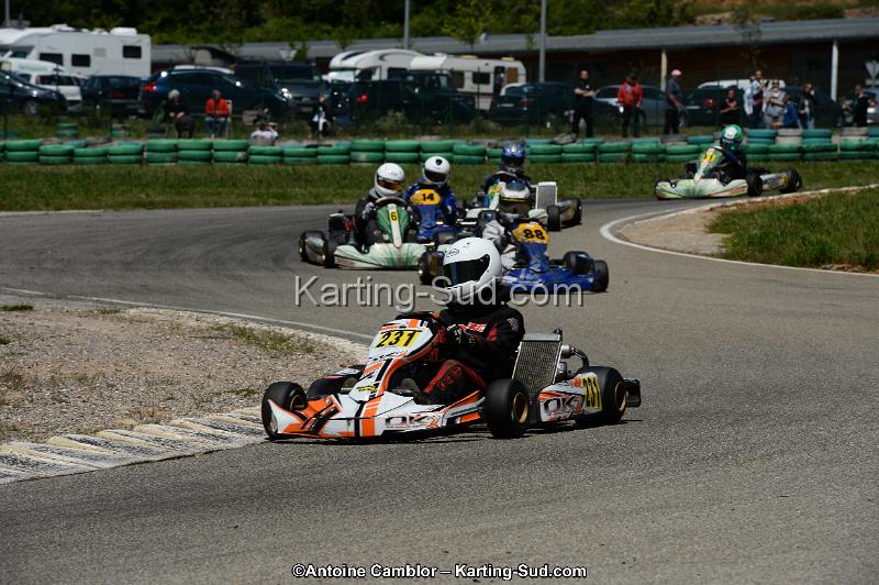 DSC_8338.jpg