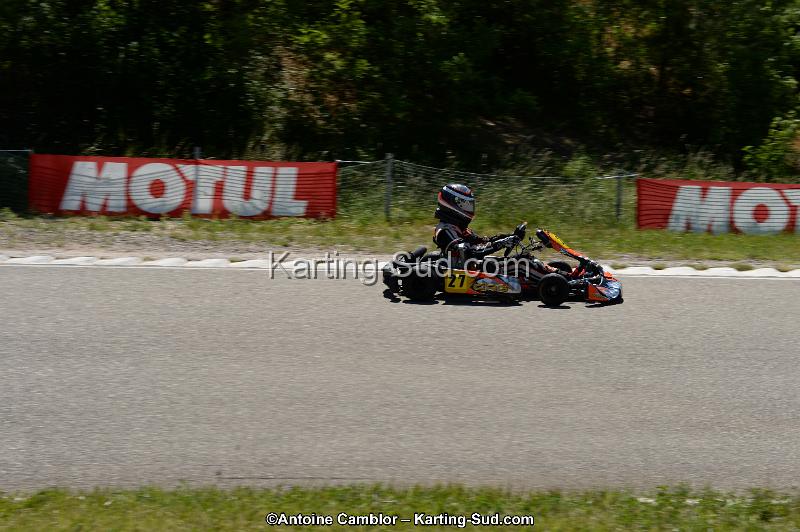 DSC_8388.jpg