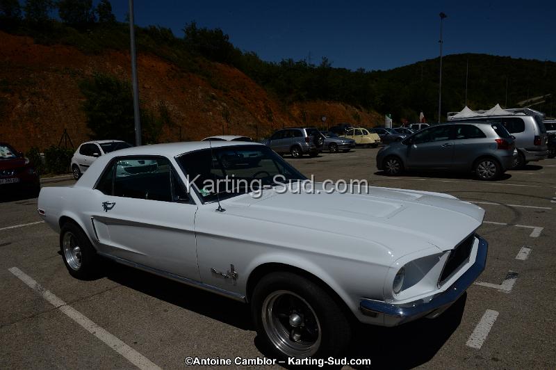 DSC_8391.jpg
