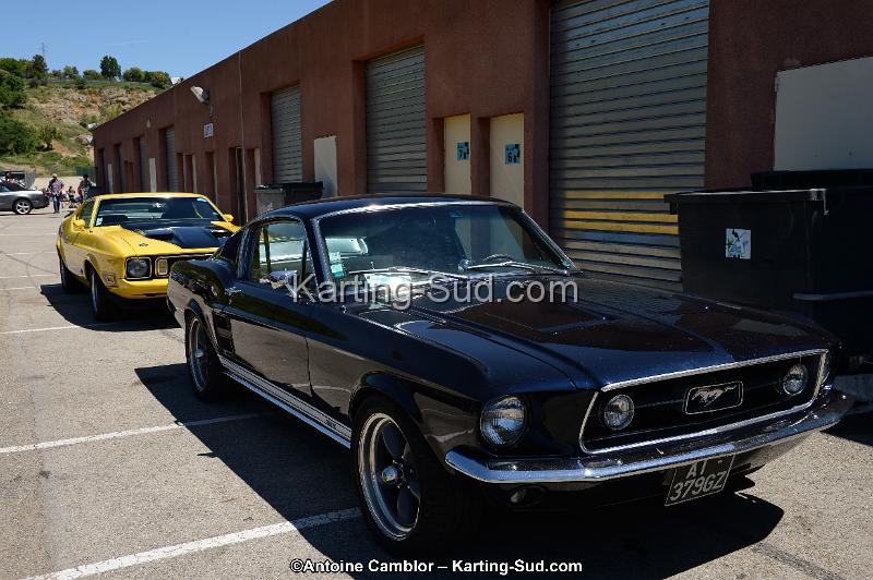 DSC_8395.jpg