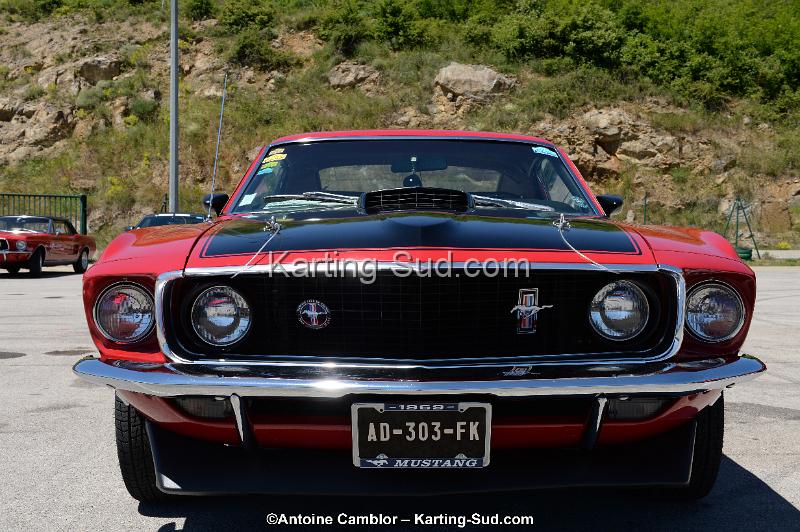 DSC_8416.jpg