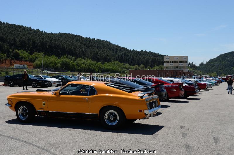DSC_8419.jpg